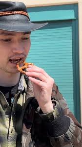 WILLIAM EDWARD SIBLEY