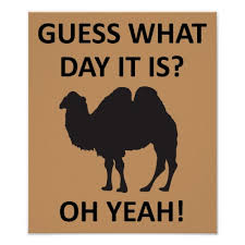 All camels love hump day, and so do most american workers. Camel Hump Day Wednesday Quotes Quotesgram