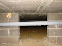 Check spelling or type a new query. Vide Sanitaire Tres Humide 31 Messages