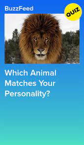 Which Animal Matches Your Personality Animals Animal Memes Fun Quizzes To Take