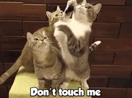 Https Encrypted Tbn0 Gstatic Com Images Q Tbn And9gcrrokiisxaln6qlondawvkaqqwvwt0q0 Clnq Usqp Cau