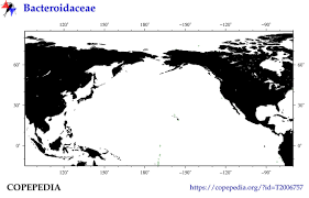 Image result for Bacteroidaceae