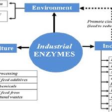 Flow Chart Of Leather Tanning Process Download Scientific