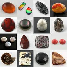 Organic Gemstones Amber Pearl Jet Dinosaur Bone And More