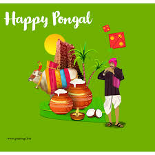 The best gifs are on giphy. Greetings Live Free Daily Greetings Pictures Festival Gif Images Pongal Gif Animated Images Indian Festival Gifs