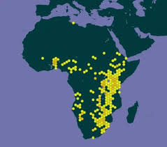 Image result for Vigna frutescens