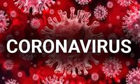 Bildergebnis für corona virus