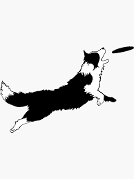 Black And White Collie Dog Clipart Dog Fetch Frisbee Border Collie Sticker By Madeulaugh In 2020 Border Collie Art Collie Flying Dog