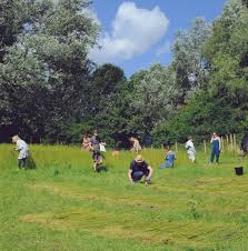 More about young investigator grants. Yohlontcsomykm