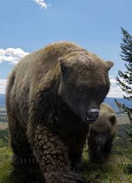 Ice Age Giants Bbc2 Documentary Brings Giants Of The Ice Age Back To Life Cave Bear Prehistoric Creatures Prehistoric Animals