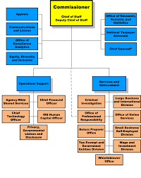 irs organizational chart free download