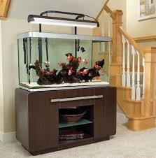 A planted goldfish tank is beautiful and fun for fish! Fluval Osaka Modern Walnut Based 70 Gallon Fish Tank And Aquarium Stand Aquarium Stand Fish Tank Stand Diy Aquarium