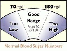 Diabetic Information For Cats