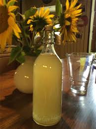 Le Kefir De Fruits Alias Tibicos Kefir Curcuma Recette