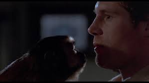 MONKEY SHINES: AN EXPERIMENT IN FEAR (1988) • Frame Rated