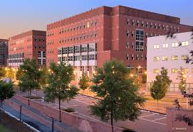 lavoro università milano bicocca