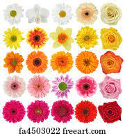 We did not find results for: Free Flower Art Prints And Artwork Freeart