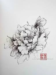 L'actualité lifestyle, découvrez nos conseils sorties, nos portraits et nos articles insolites, high tech, mode, beauté, culture, sport et automobile ! ç‰¡ä¸¹çº¹èº«æ‰‹ç¨¿ Dessin Pivoine Tatouages De Fleurs De Pivoine Croquis De Fleurs