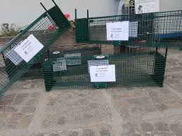 Mon voisin a fabriqué et possède une cage piège pour attraper des chats. Spa La Louviere Cages Trappe En Pret L Hiver Facebook