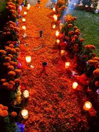 🙋‍♀️, deseo que estés pasando un lindo día, mi nombre es yessi y el día de hoy te voy a platicar acerca de la flor de cempasúchil, esta palabra proviene del náhuatl y significa veinte flor o flor de veinte pétalos. Pan De Muertos Tumblr Day Of The Dead Art Mexico Culture Mexican Culture