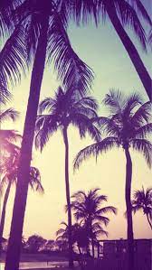 We did not find results for: Palm Tree Wallpaper Kolpaper Awesome Free Hd Wallpapers