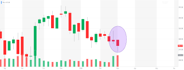 Tesla Short Seller Suddenly Reverses Course Sets Bullish