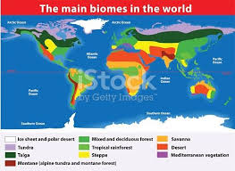 Biomes In The United States Map Biotope Earth 39 S Terrestrial Biomes Vector Map Biomes Biomes Project Geography