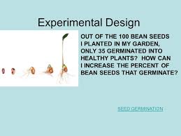 Experimental Design Seed Germination Out Of The 100 Bean Seeds I Planted In My Garden Only 35 Germinated Into Healthy Plants How Can I Increase The Percent Ppt Download
