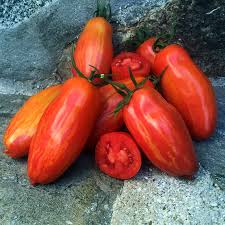 Image result for tomato San Marzano