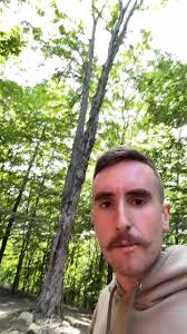 Looking for a licensed and insured tree guy