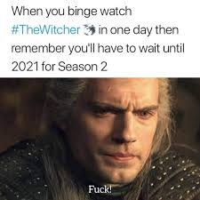 The Witcher Memes In 2020 Funny Memes The Witcher Clean Funny Pictures