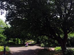 Der botanische garten meiner lieblingsstadt leipzig ist der ältesten botanischen garten deutschlands und zählt sogar zu den ältesten botanischen gärten der welt. Botanischer Garten Schmetterlingshaus Leipzig