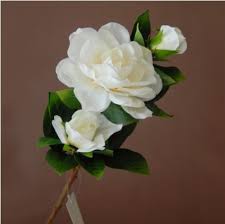 Jasmine flowers are very popular herbs due to their aromatic and aphrodisiac properties. 10pcs Artificial Silk Gardenia Faux Cape Jasmine Flowers Party Christmas Home Decorative Flowers Arrangement Free Shipping Home Decor Flower Arrangements Flower Arrangementdecorative Flower Arrangements Aliexpress