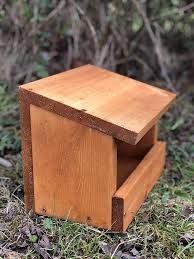 Image result for Flyte Blackbird Nest Box