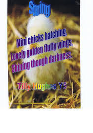 March 19, 2021 for the 'lets get creative with haiku' poetry contest of constance la france. Spring Haikus Churchstoke Cp School