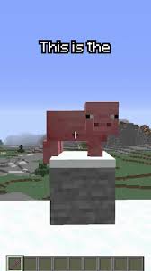 Hello guys, today i will show you how to get a knockback stick 1000 in minecraft java!!! Knockback 1000 Stick Tutorial Howto Minecraft Youtube Letucesandwich Dream Dreamteam Mcyt Knockback Fyp Stick Funny 1000 Pig Command