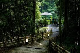 Évasion Rafraîchissante : Vallée d'Akigawa, l'escapade parfaite près de Tokyo!