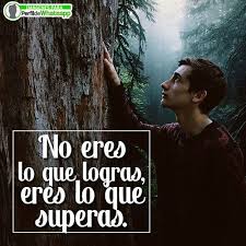 Encuentra las mejores imágenes gratis para descargar. Frases Celebres Para Descargar