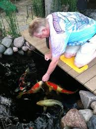 I have a 80,000 gallon pond how do i keep it clean and clear. Behold In The Backyard An Urban Oasis Oak Park