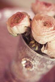 Always Andri Wedding Design Blog Floral Inspiration Ranunculus Ranunculus Wedding Bouquet Ranunculus Wedding Ranunculus
