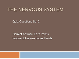 The nervous system is perhaps the most important part of the body. The Nervous System Quiz Questions Set 2 Correct