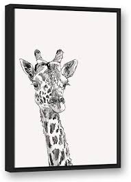 Bloomsbury Market Giraffe Sketch Framed Drawing Print On Canvas Drawing Prints Art Print Set Gallery Wrap Canvas