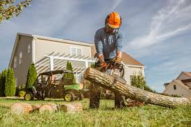 Chain has been sharpened since using. Ms 180 C Be Lightweight Easy2start Chainsaw Stihl Usa