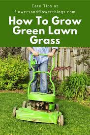 Growing Green Lawn Grass And Care Tips Flowersandflowerthings Green Lawn Growing Greens Healthy Lawn