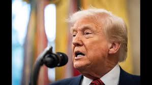 ESTOY CANSADO JEFE!!