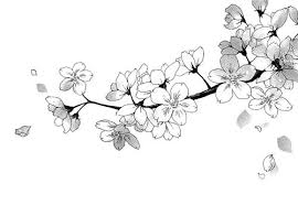 We Heart It Flower Drawing Art Black And White Illustration