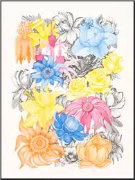 Jackie Freer: Exposed