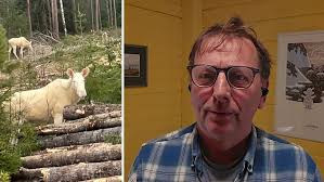 Adrian går på monsterjakt i Unga föräldrar