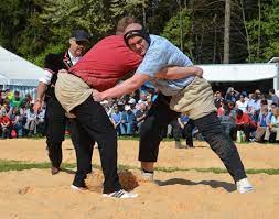 Anzahl und arten von molekülschwingungen. The Story Of Schwingen All About Schwingen Origin Of Schwingen National Sport Bout Sports