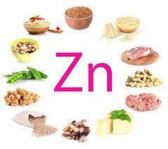 Importance Of Zinc In Your Diet Find Health In Nature Lebensmittel Tabelle Zink Lebensmittel Zinkhaltige Lebensmittel
